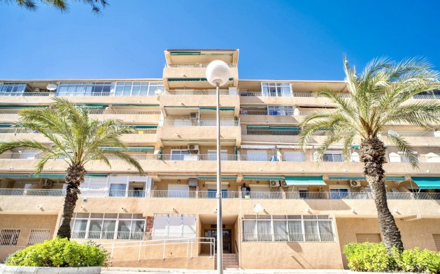 Appartement / flat - Herverkoop - Guardamar del Segura - Guardamar del Segura
