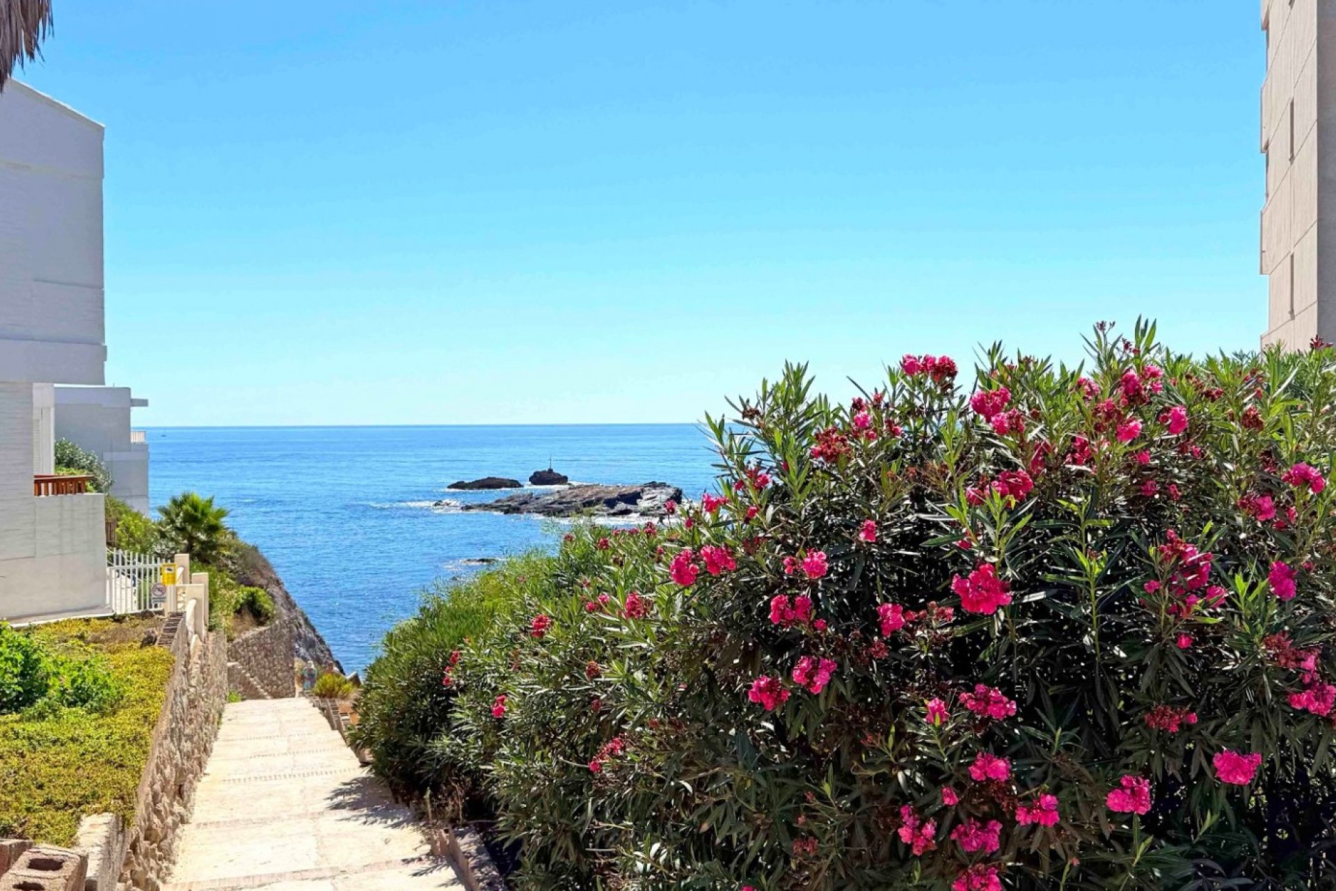 Återförsäljning - Lägenhet / lägenhet - Cabo de Palos