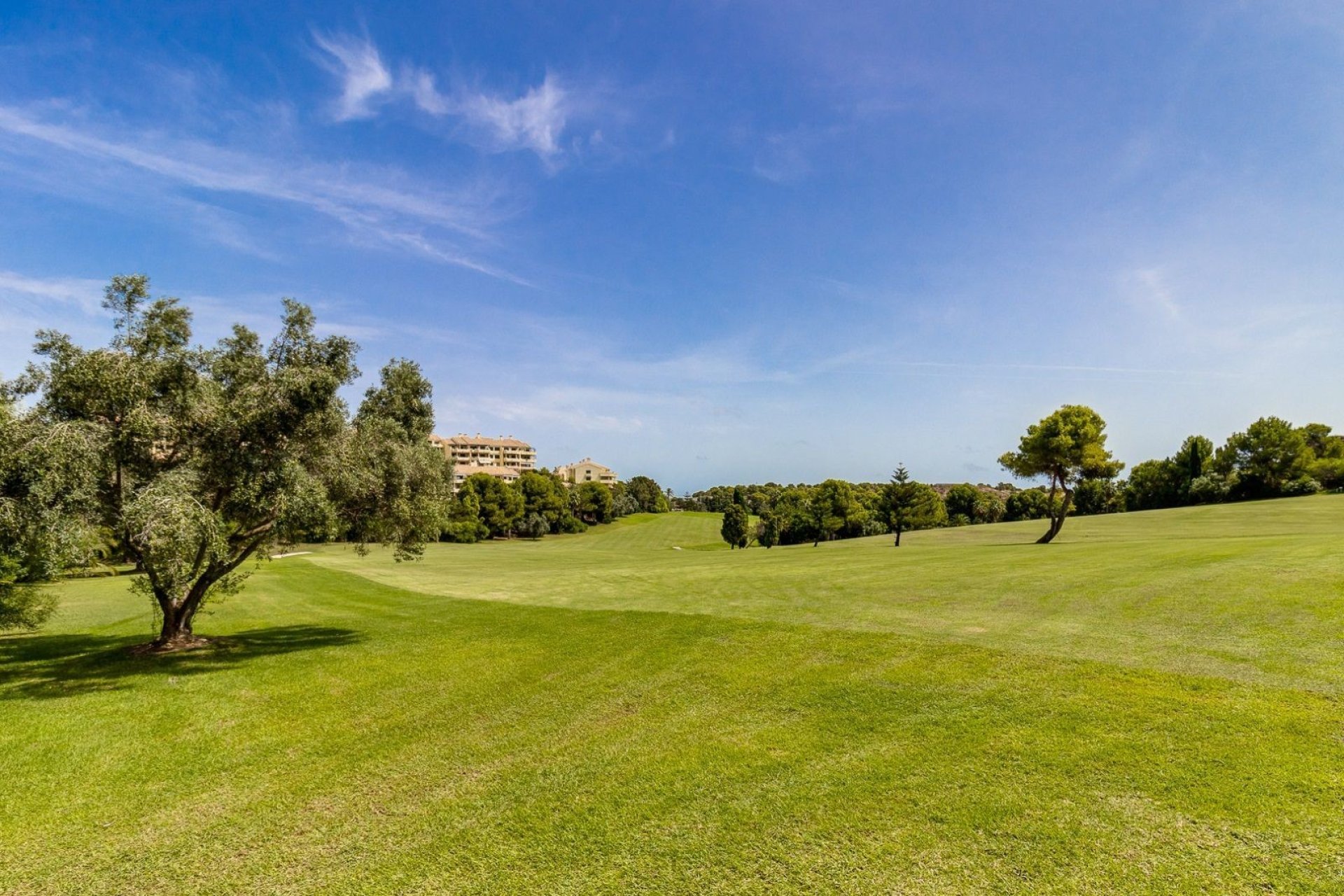 Återförsäljning - Lägenhet / lägenhet - Orihuela Costa - Campoamor