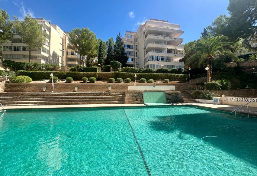 Begagnad - Lägenhet / lägenhet - Calvià - Costa de la Calma