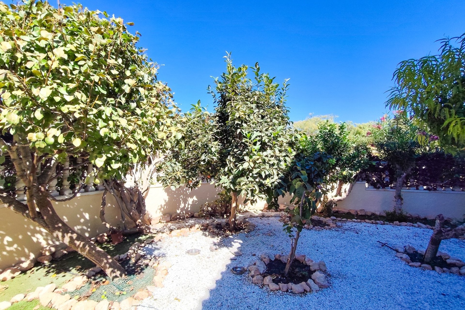 Begagnad - Lägenhet / lägenhet - Orihuela Costa - Cabo Roig
