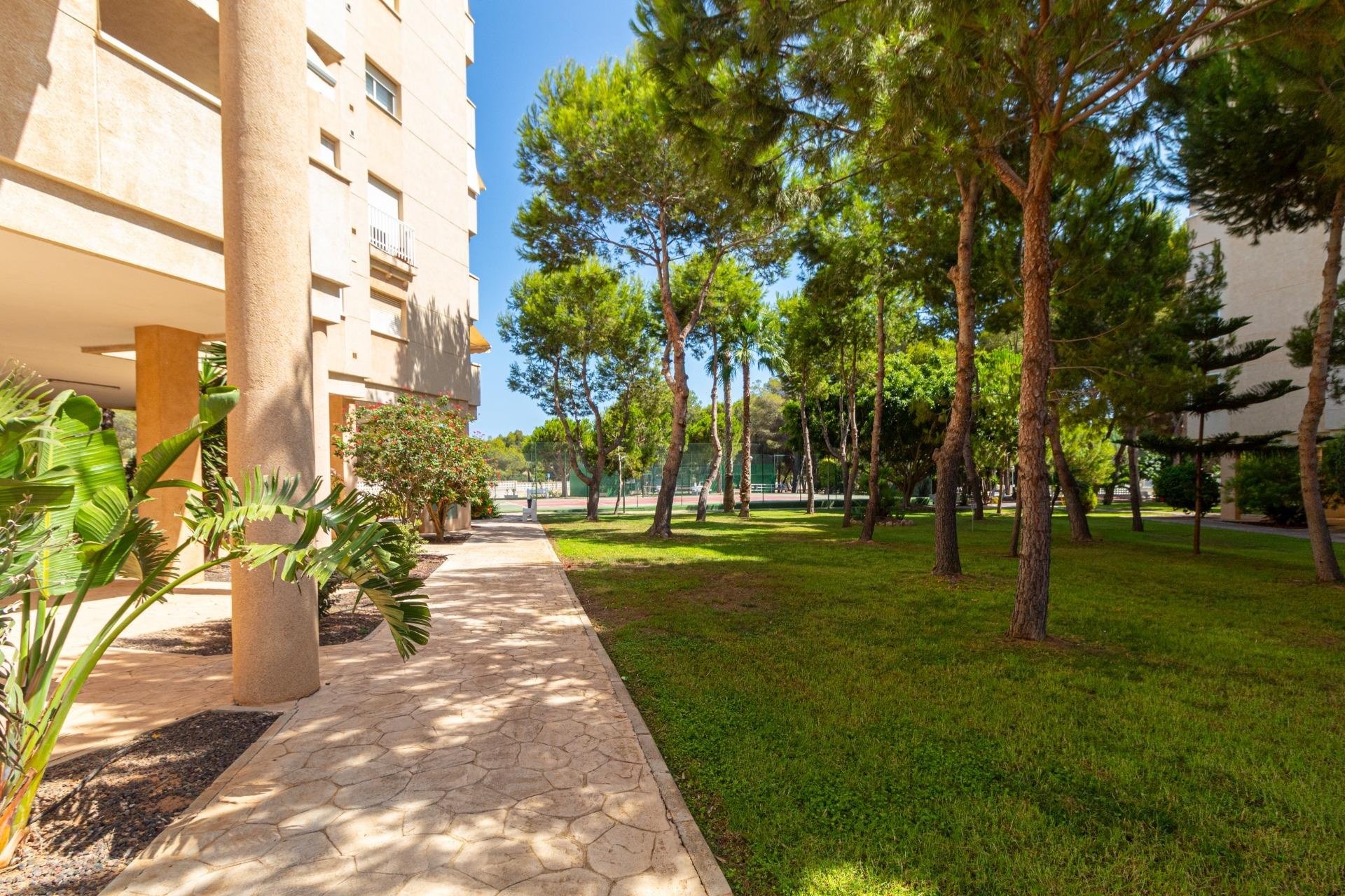 Begagnad - Lägenhet / lägenhet - Orihuela Costa - Campoamor