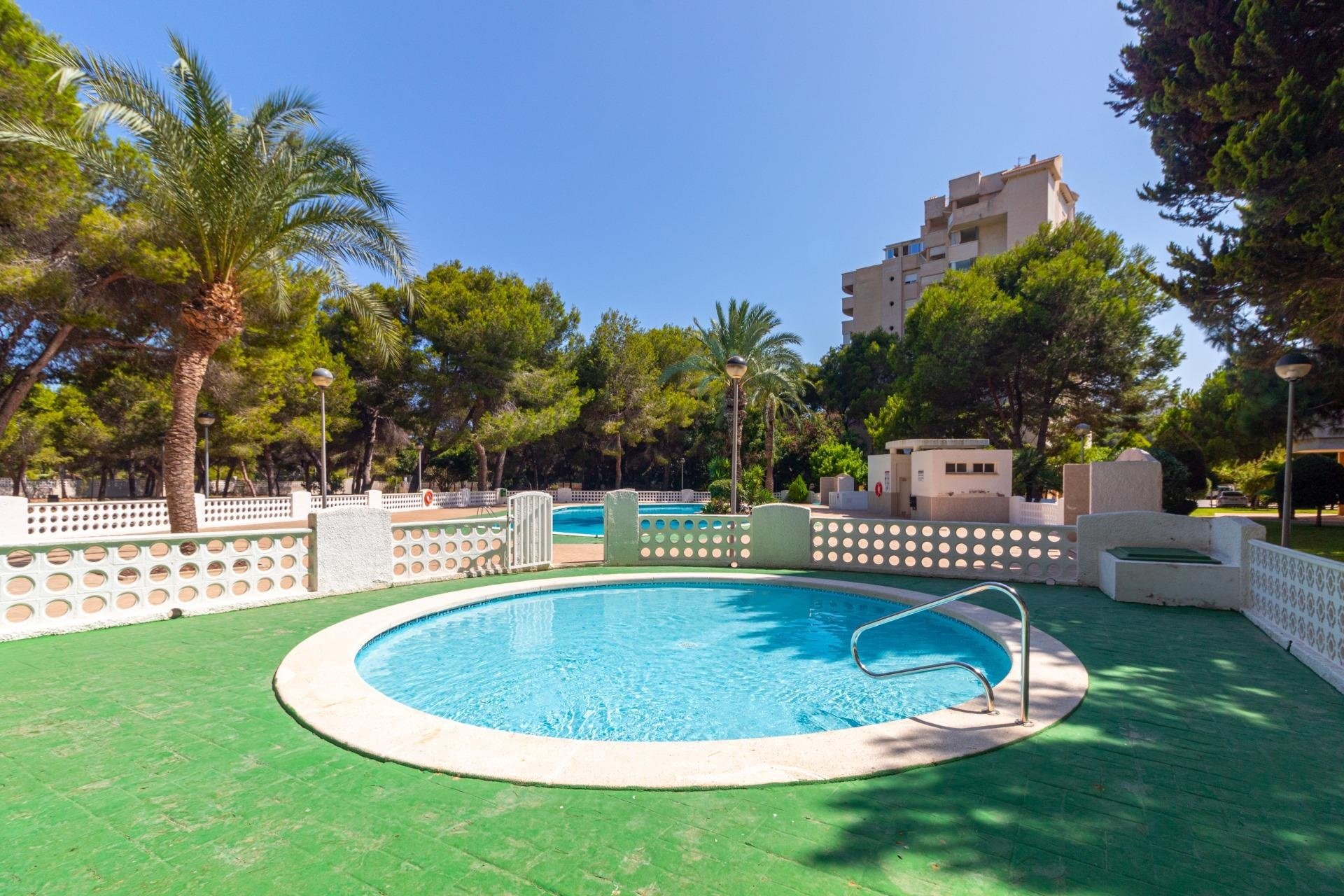 Begagnad - Lägenhet / lägenhet - Orihuela Costa - Campoamor