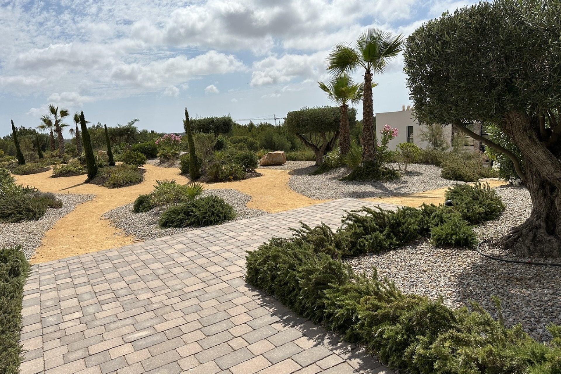 Begagnad - Lägenhet / lägenhet - Orihuela Costa - Las Colinas Golf - Country Club