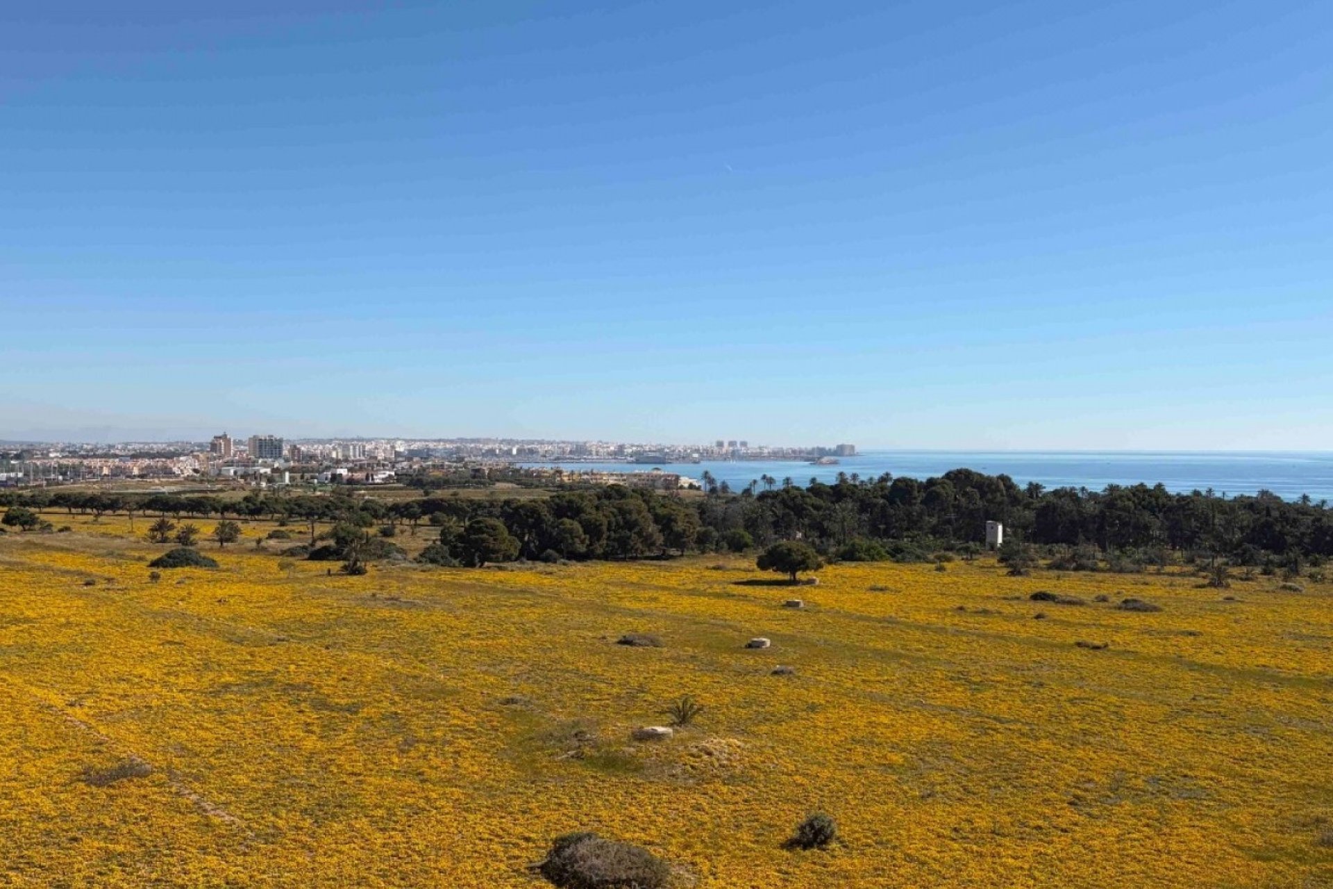 Begagnad - Lägenhet / lägenhet - Orihuela Costa - Punta Prima
