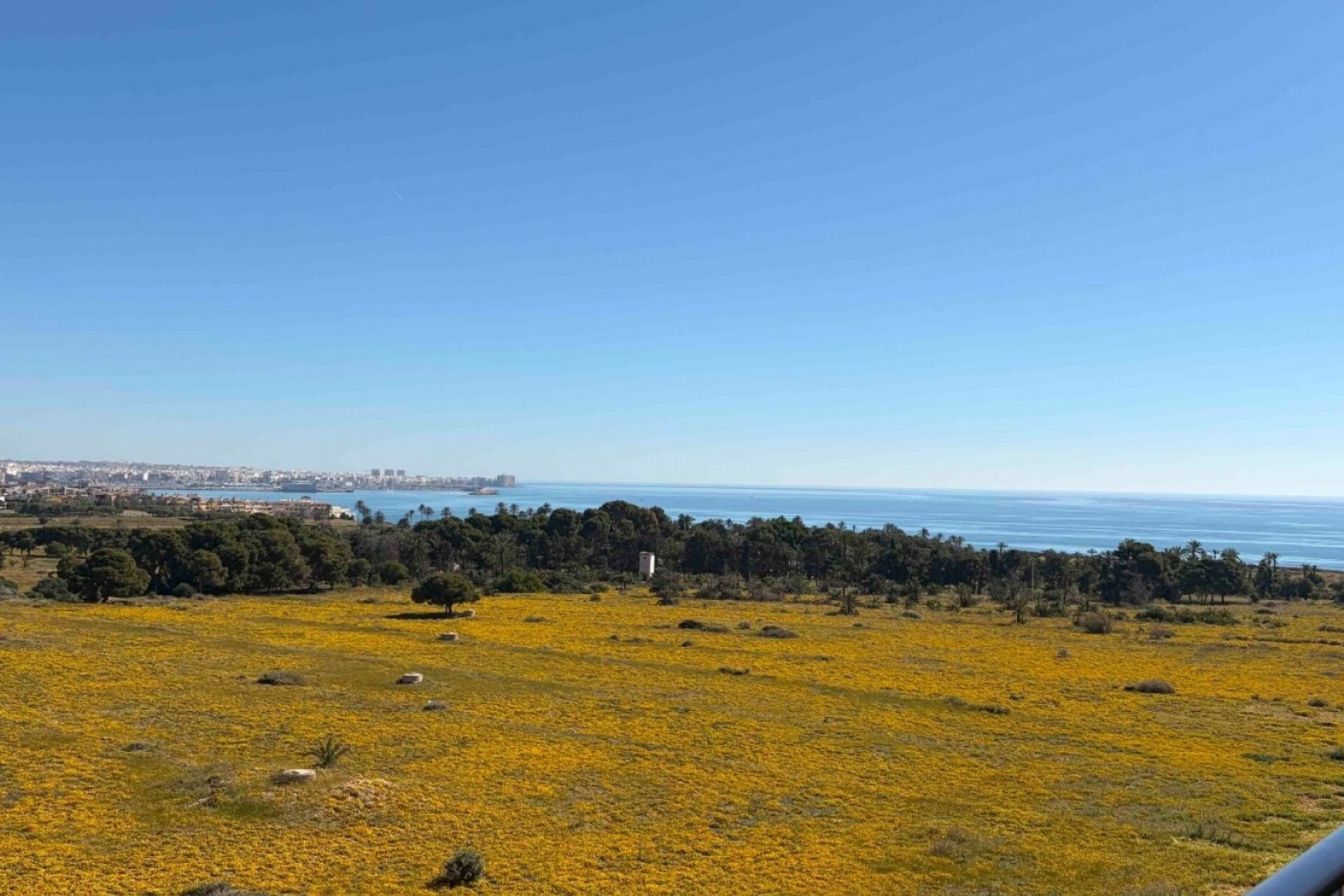 Begagnad - Lägenhet / lägenhet - Orihuela Costa - Punta Prima
