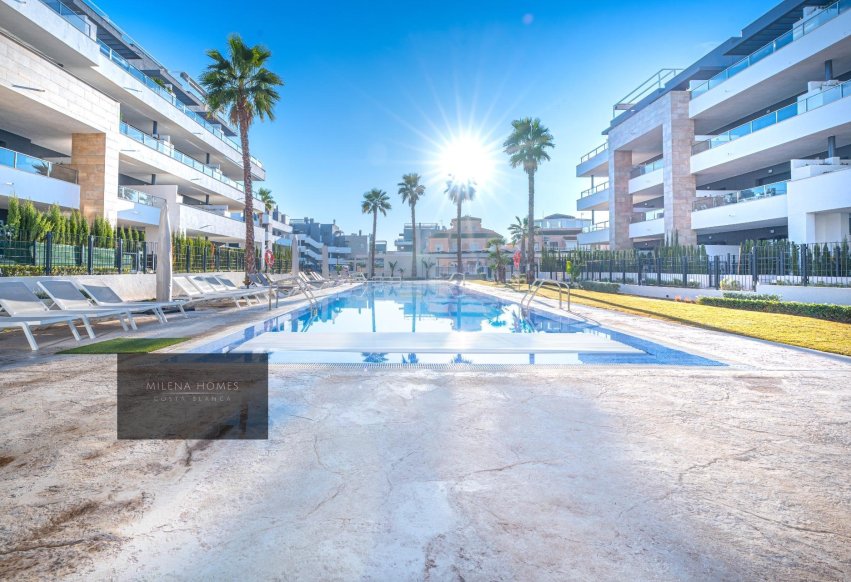 Begagnad - Lägenhet / lägenhet - Orihuela Costa