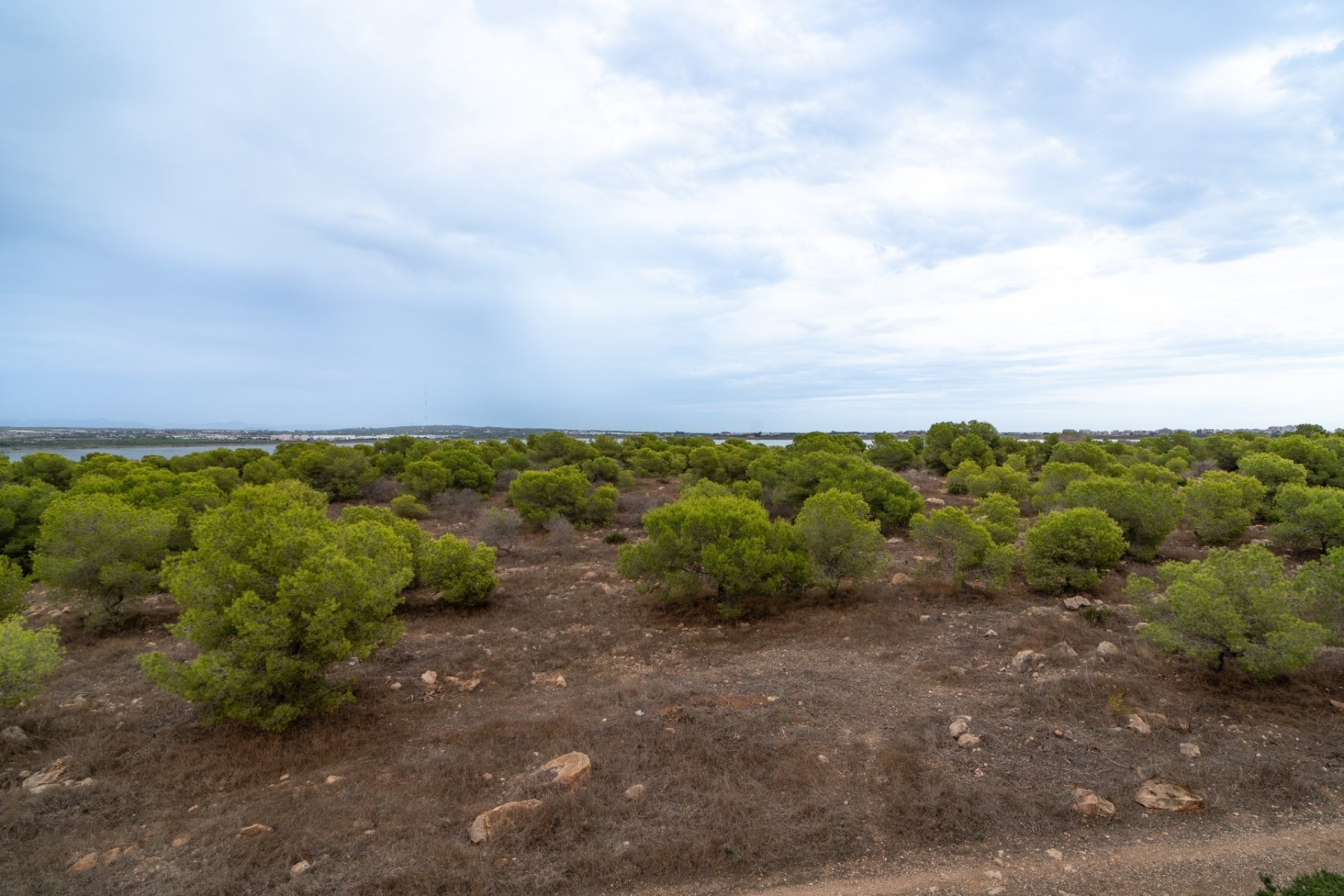 Begagnad - Lägenhet / lägenhet - Torrevieja - La Siesta - El Salado -  Torreta