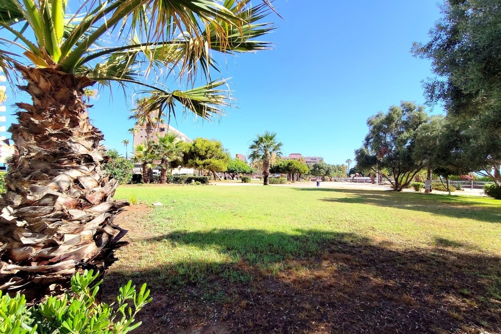 Begagnad - Lägenhet / lägenhet - Torrevieja