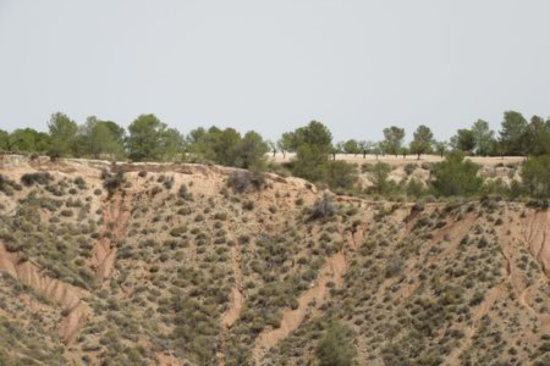 Begagnad - Parcela - Murcia