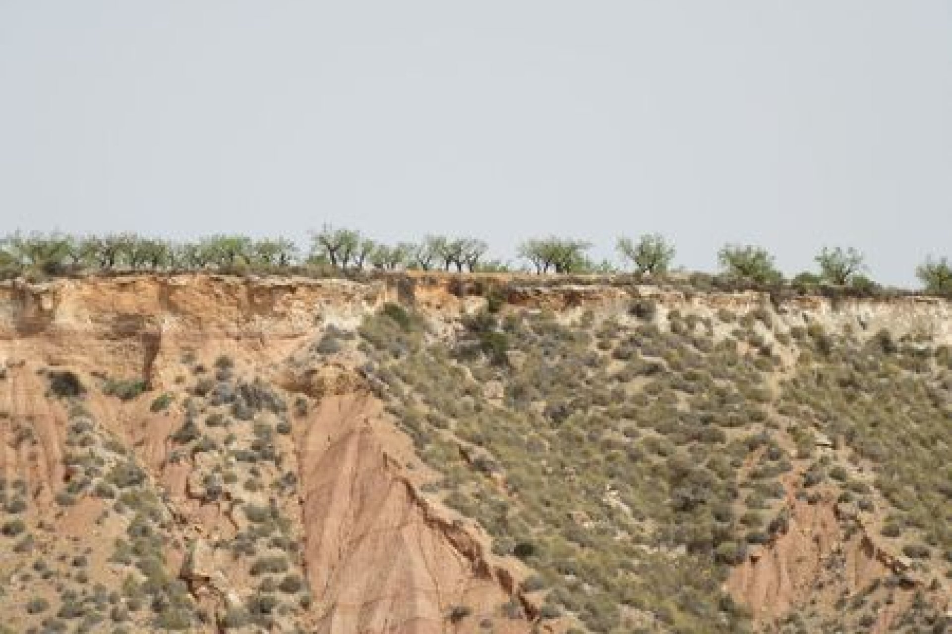 Begagnad - Parcela - Murcia