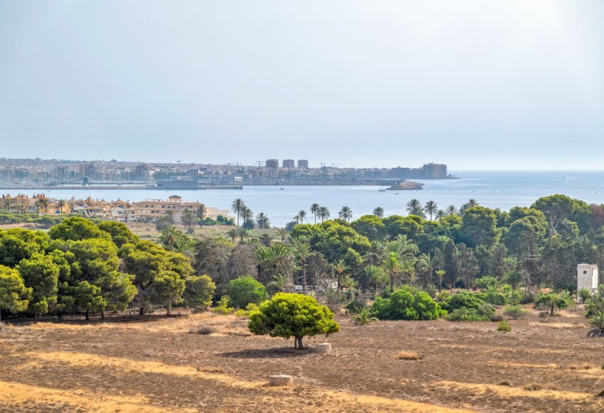 Begagnad - Takvåning - Torrevieja - Punta Prima