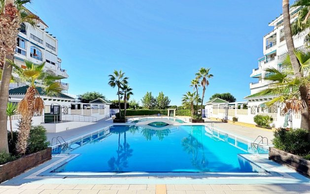 Butas - Perpardavimas - Torrevieja - BEN-34983