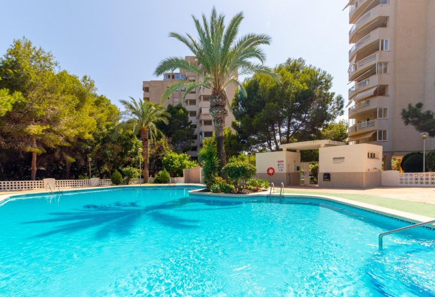 Herverkoop - Appartement / flat - Orihuela Costa - Campoamor