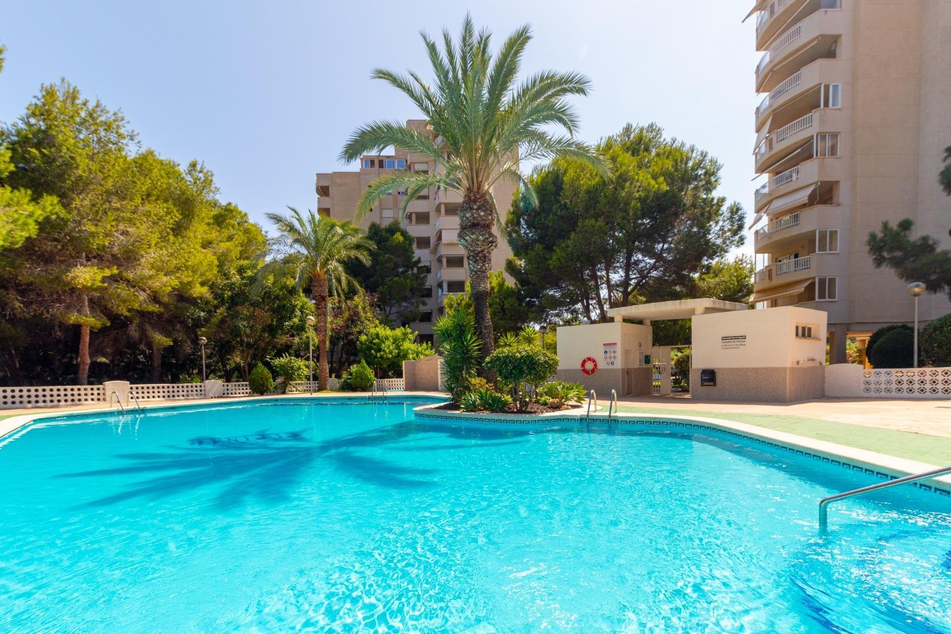 Herverkoop - Appartement / flat - Orihuela Costa - Campoamor