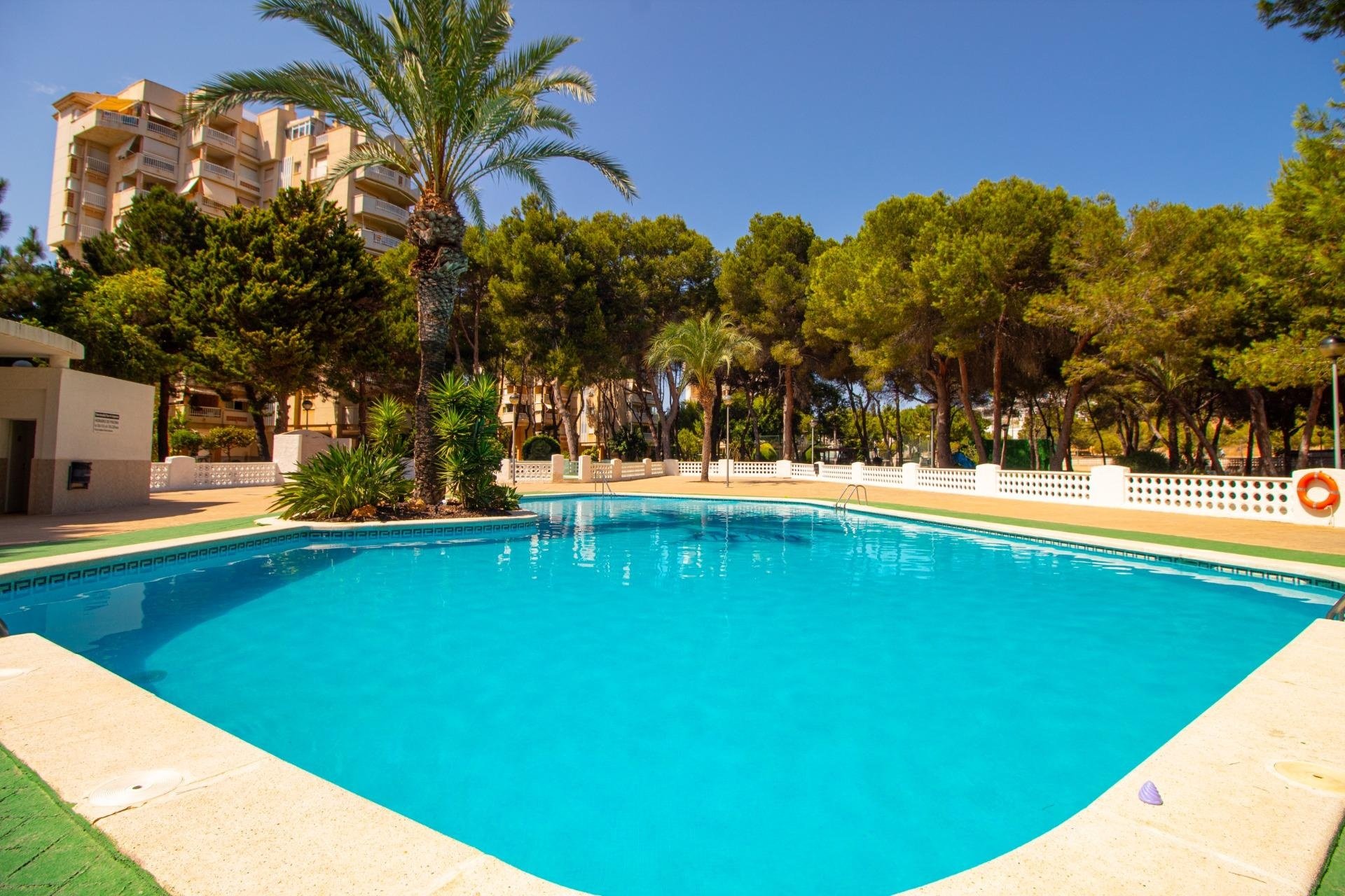 Herverkoop - Appartement / flat - Orihuela Costa - Campoamor