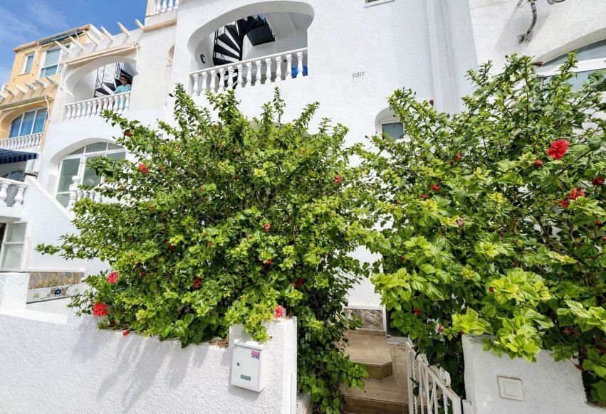 Herverkoop - Appartement / flat - San Miguel de Salinas - Las filipinas