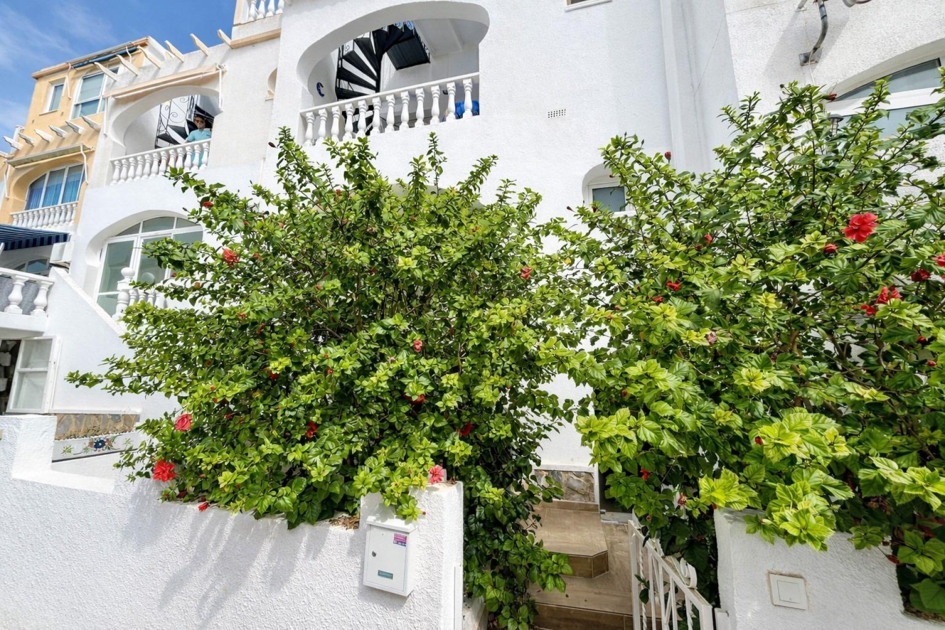 Herverkoop - Appartement / flat - San Miguel de Salinas - Las filipinas