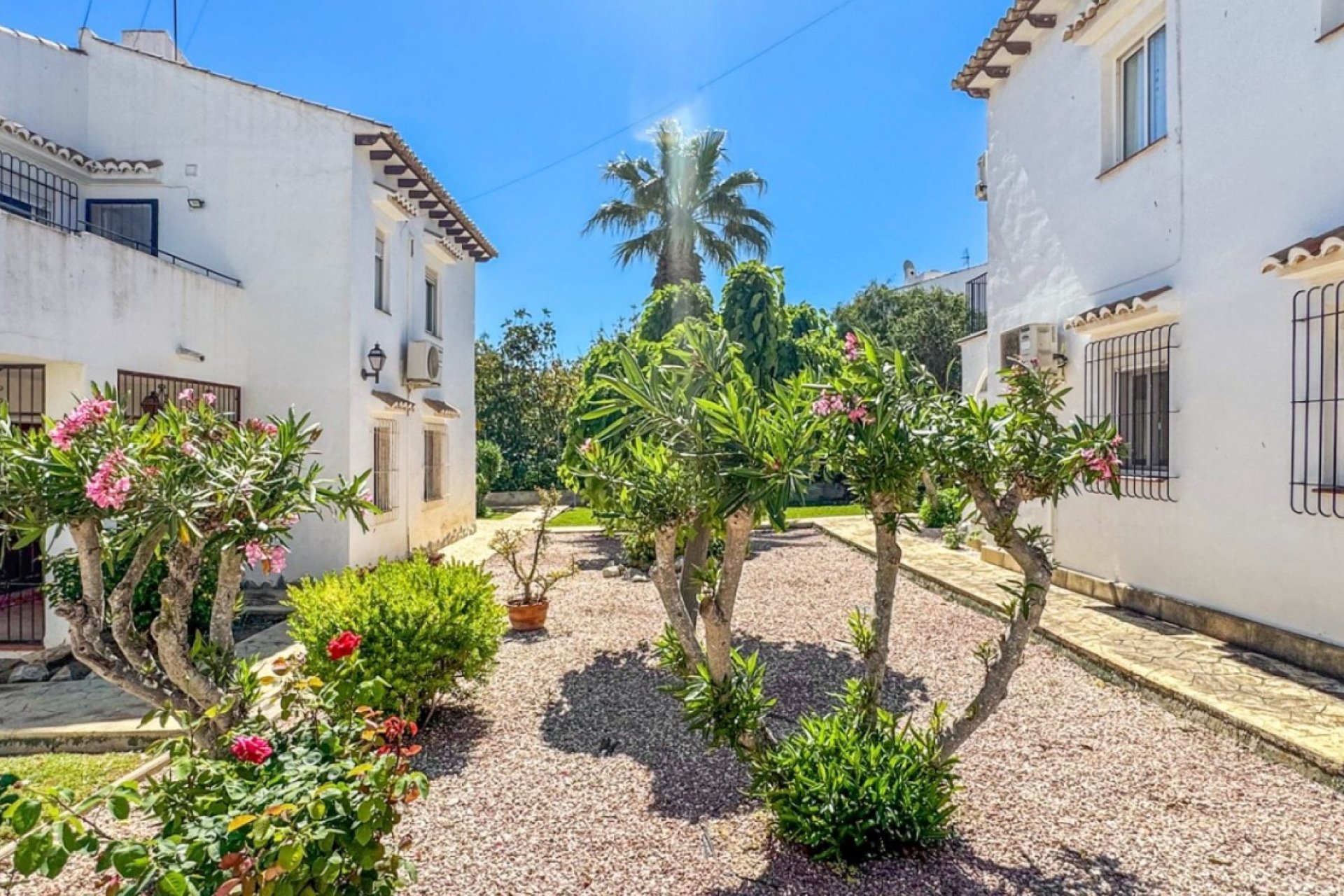 Herverkoop - Bungalow - Torrevieja - Los Balcones - Los Altos 