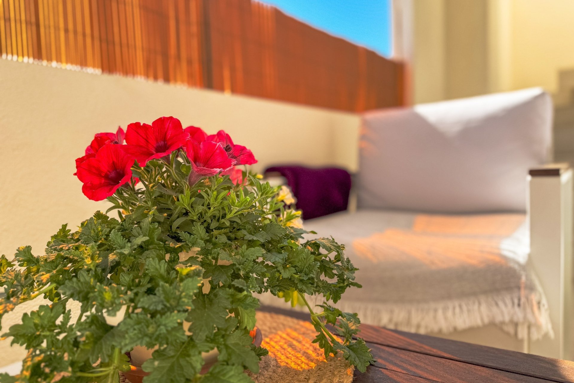 Herverkoop - Bungalow - Torrevieja - Los Balcones - Los Altos 