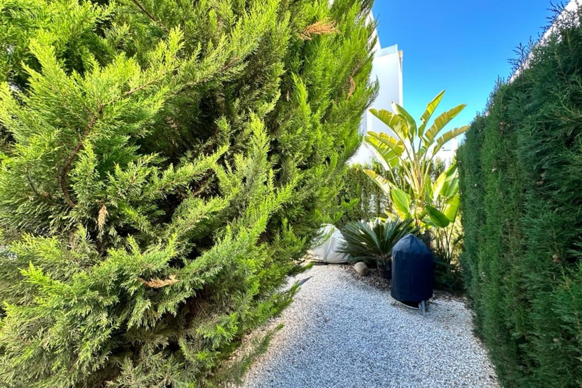 Herverkoop - Villa - Rojales - Ciudad Quesada