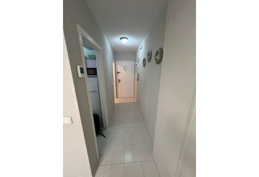 Langtidsleie - Leilighet / leilighet - Torrevieja - El Acequión - Los Náufragos