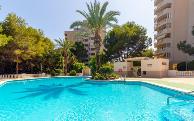 Leilighet / leilighet - Videresalg - Orihuela Costa - Campoamor