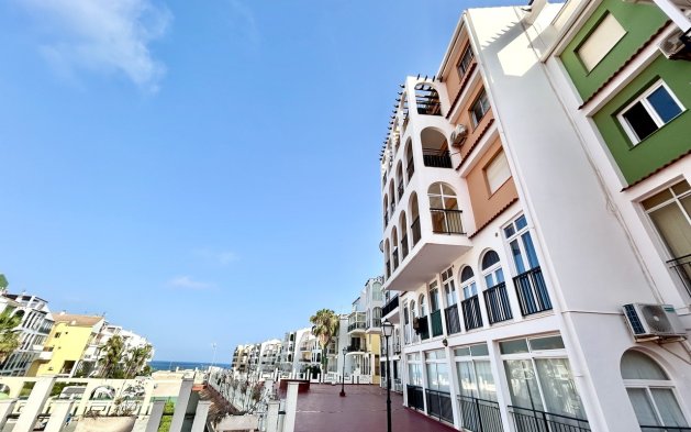 Mieszkanie w bloku - Odsprzedaż - Torrevieja - Torrevieja