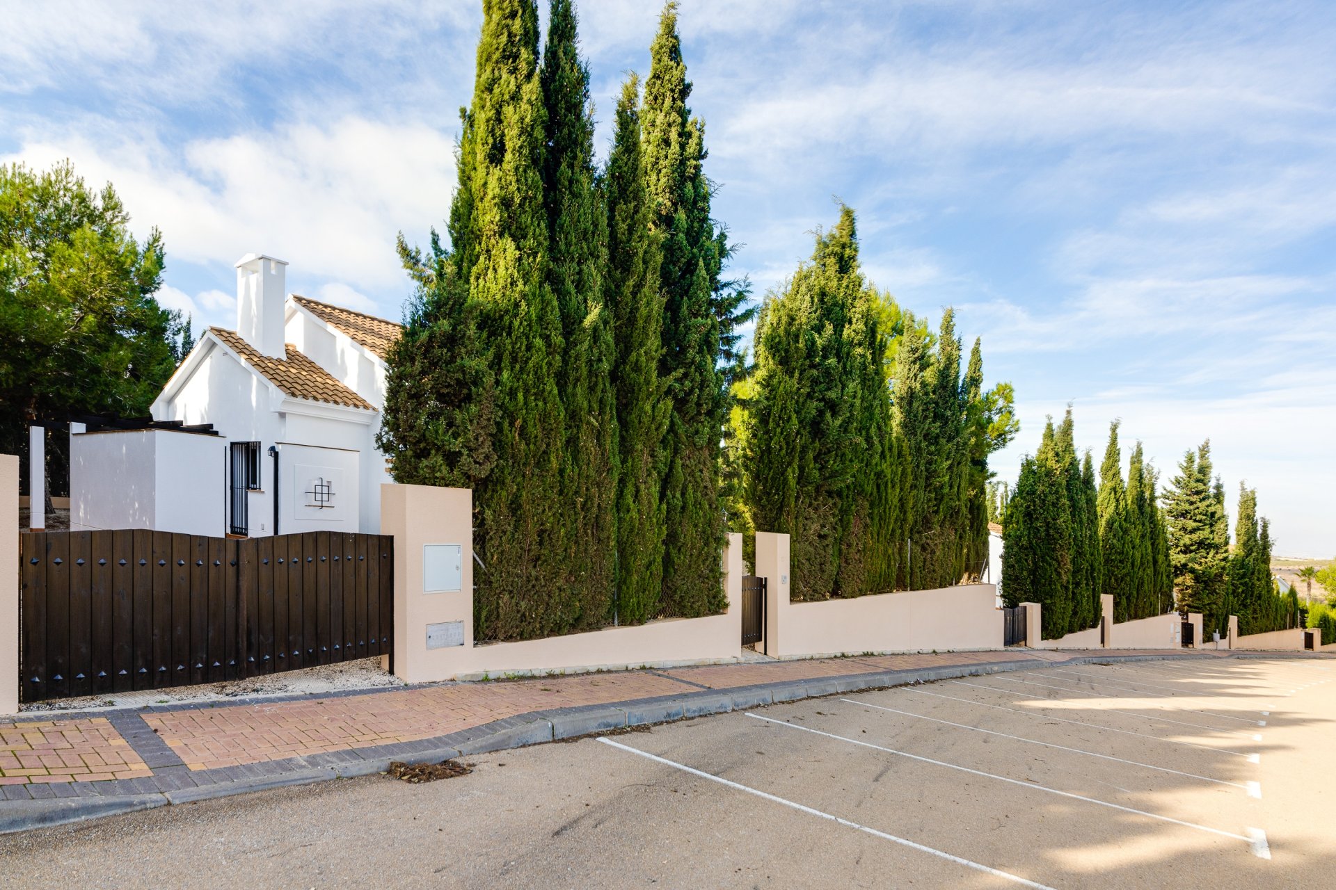 Nauja statyba - Vila - Fuente Alamo