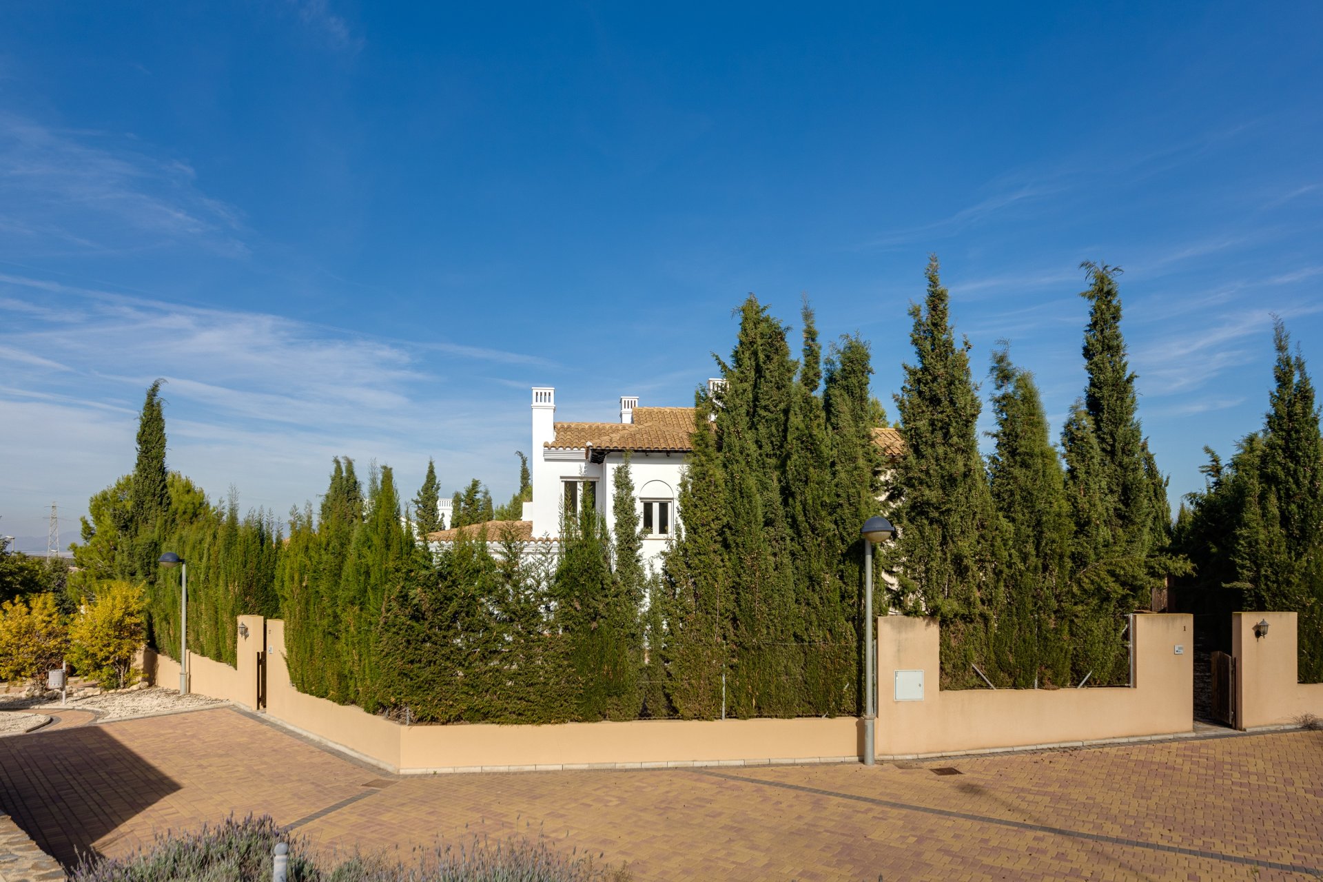 Nauja statyba - Vila - Fuente Alamo
