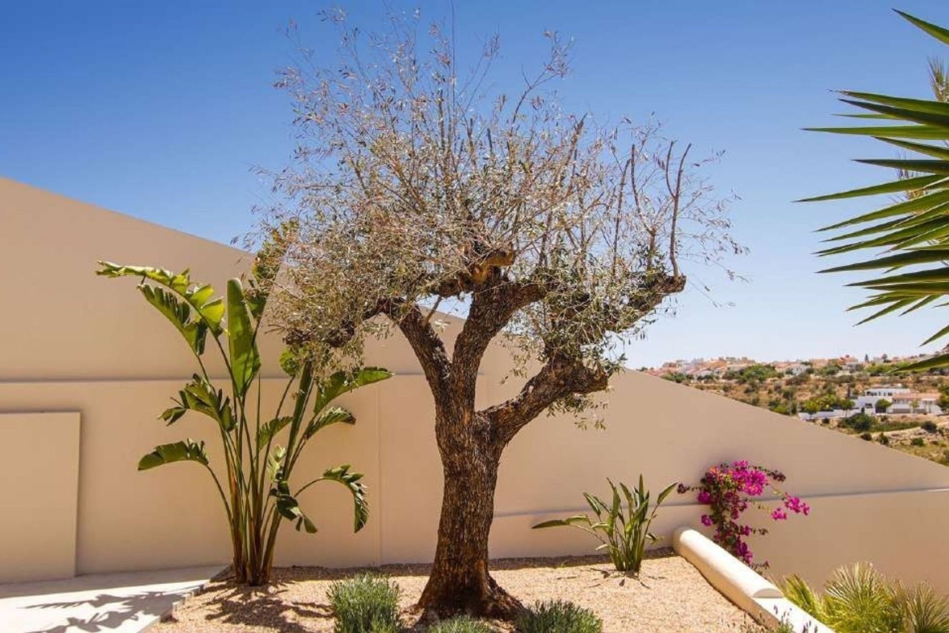 Nauja statyba - Vila - La Marina