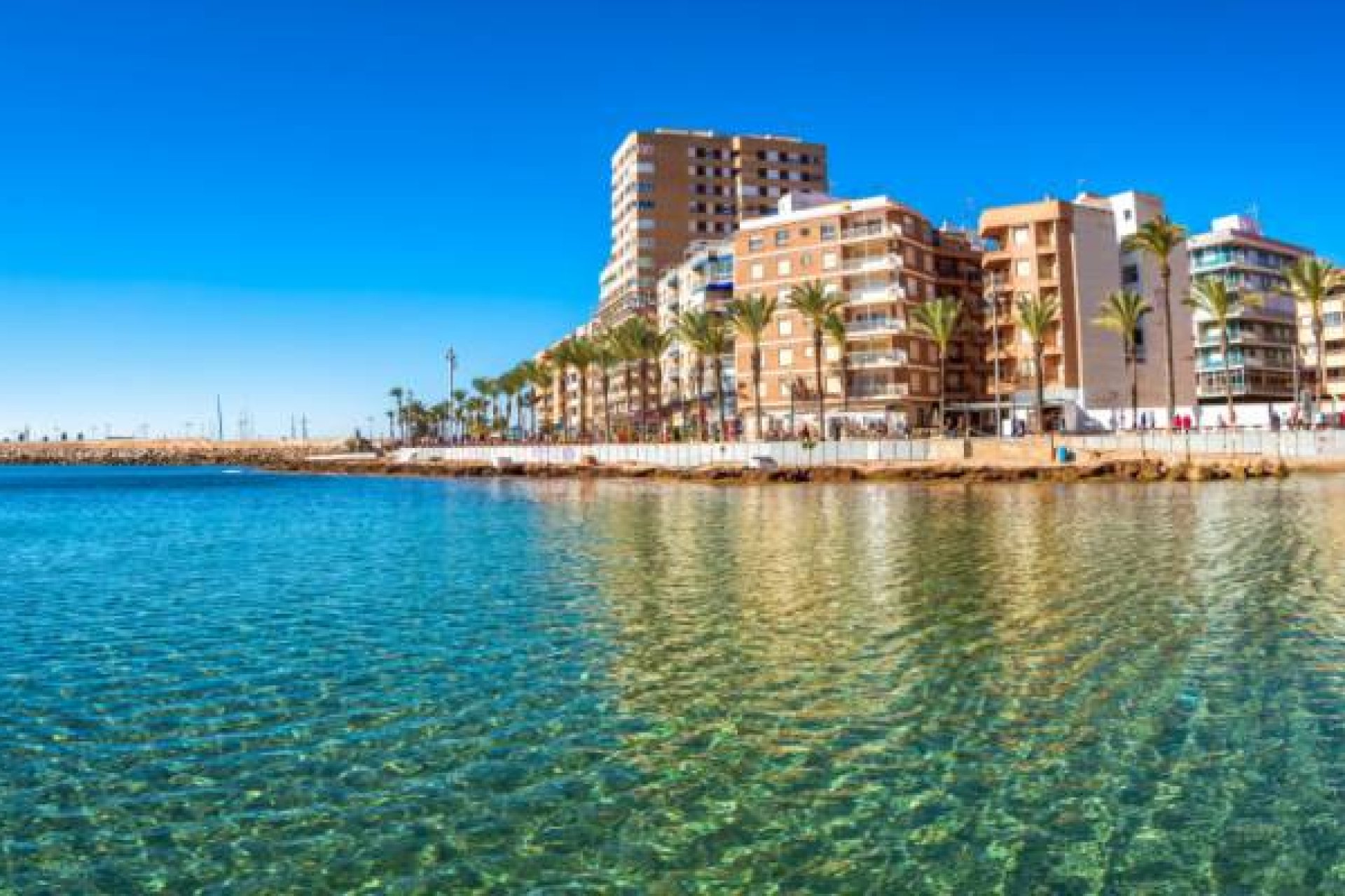 New Build - Apartment / flat - Algorfa