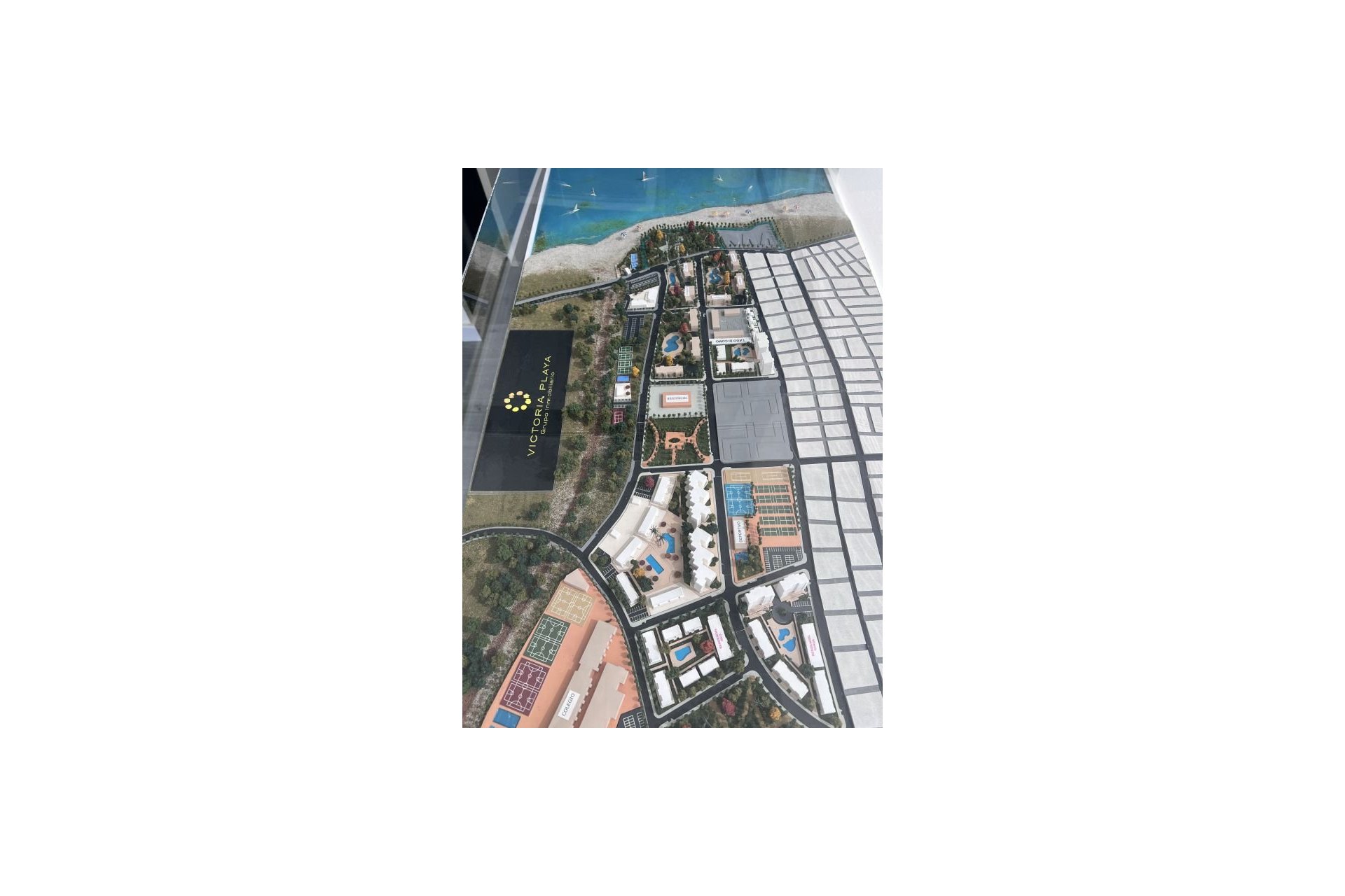 New Build - Apartment / flat - Pilar de la Horadada - Mil Palmeras