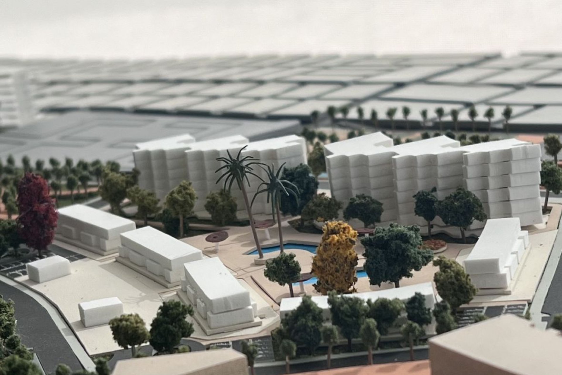 New Build - Apartment / flat - Pilar de la Horadada - Mil Palmeras