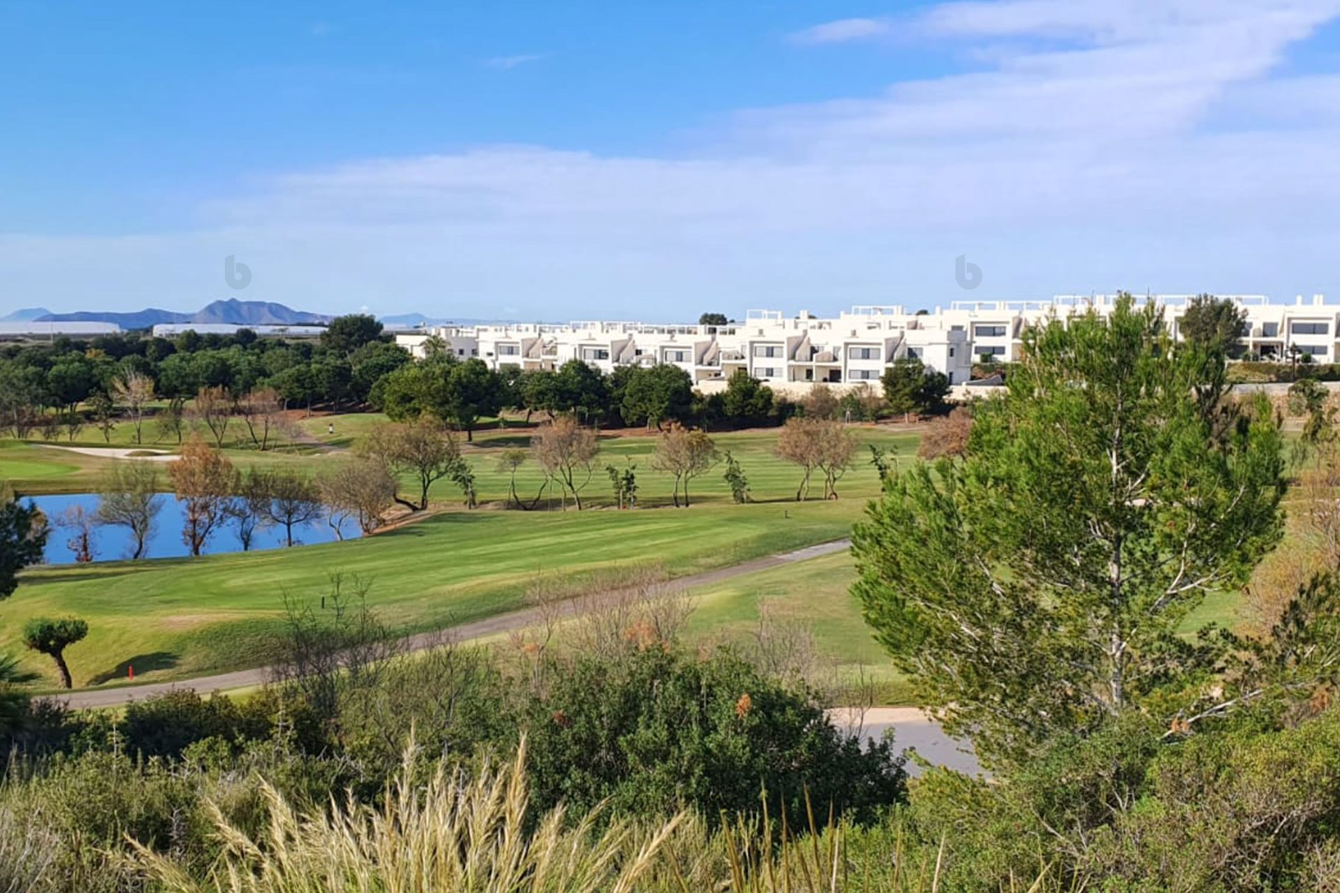 New Build - detached - Pilar de la Horadada