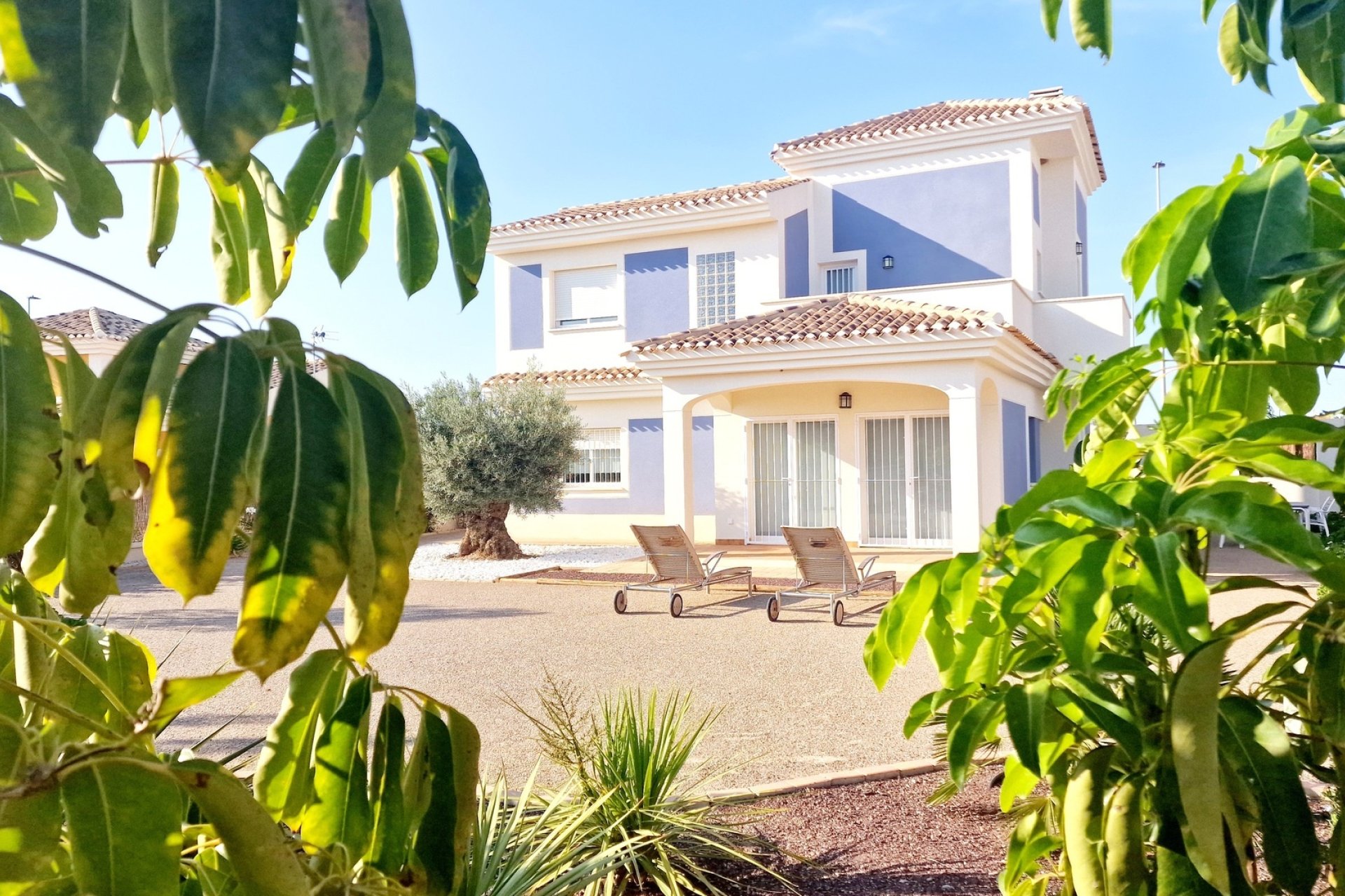 New Build - Villa - Purias