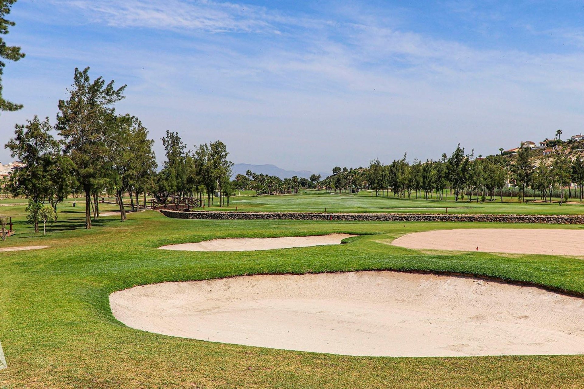 New Build - Villa - Rojales