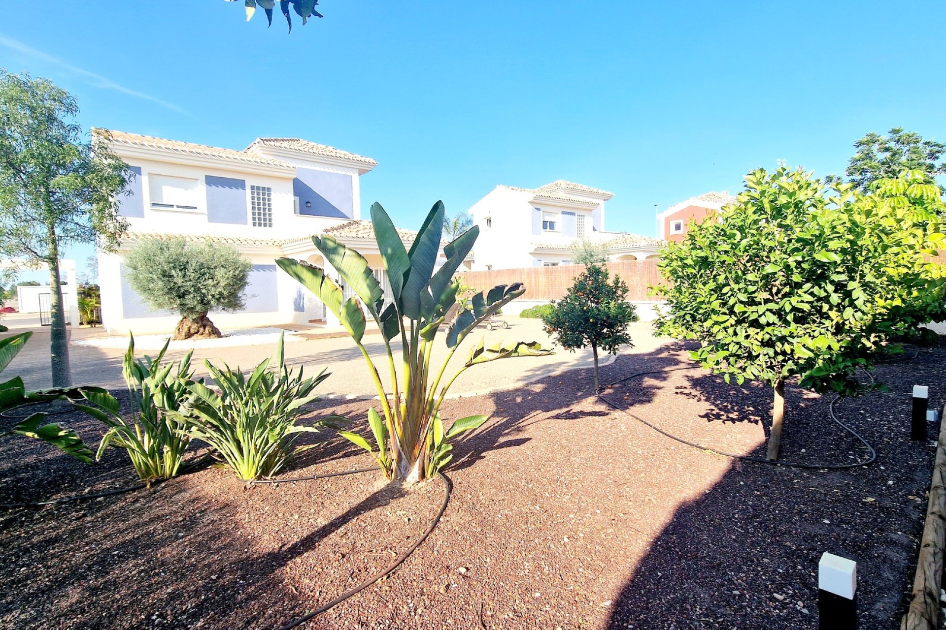 Nieuwbouw Woningen - detached - Purias