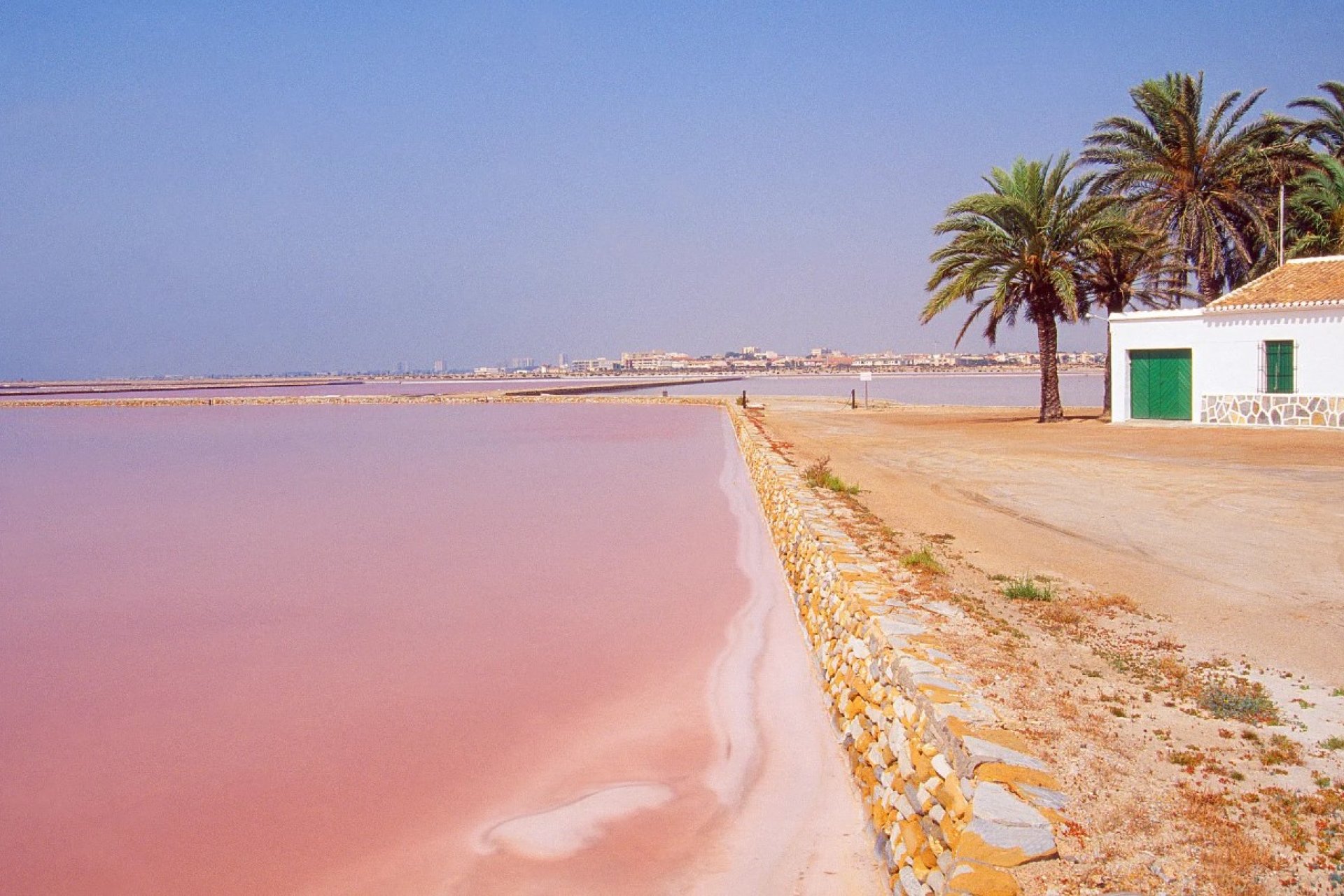 Nieuwbouw Woningen - ground-floor - San Pedro del Pinatar