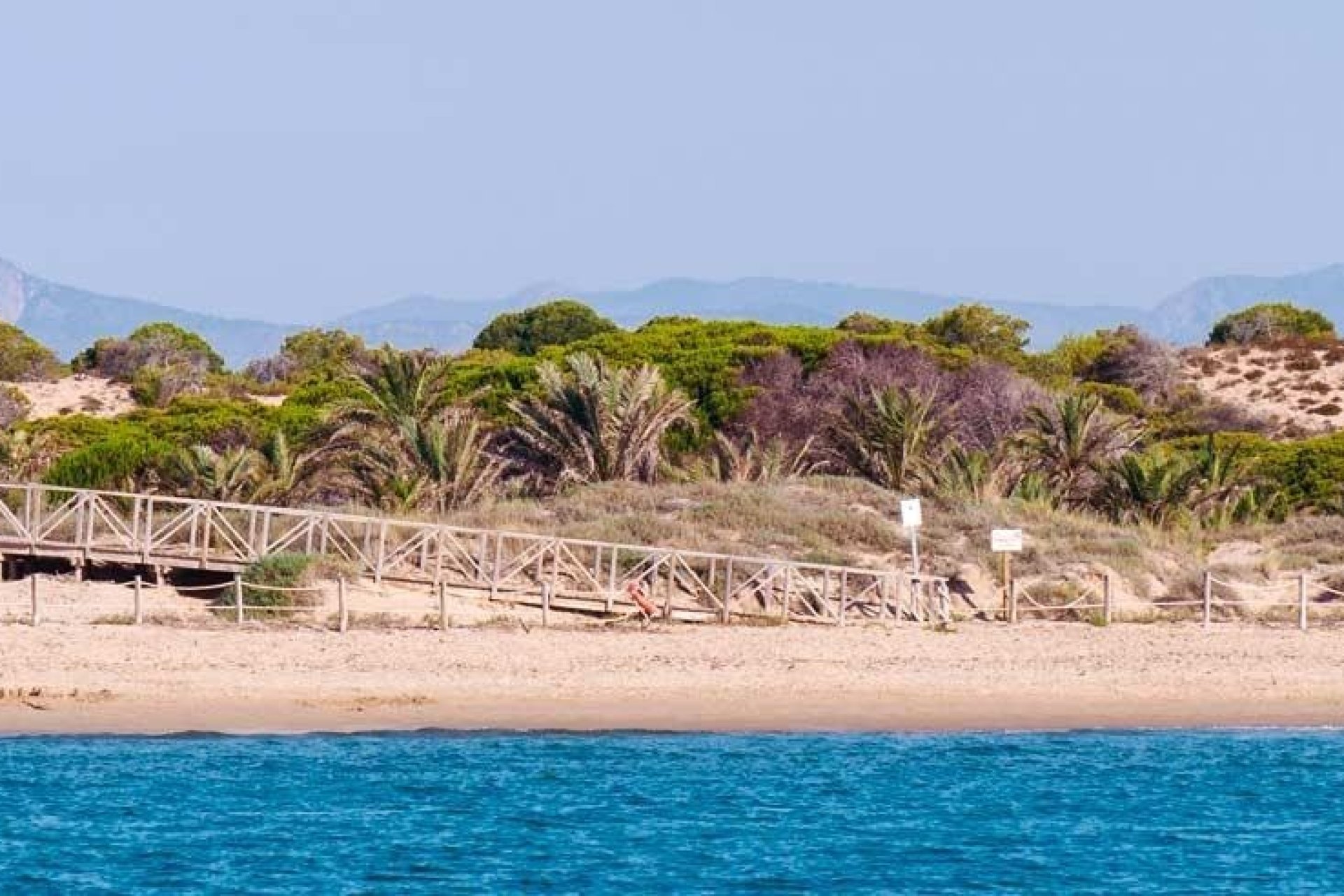 Nieuwbouw Woningen - Penthouse - Guardamar del Segura