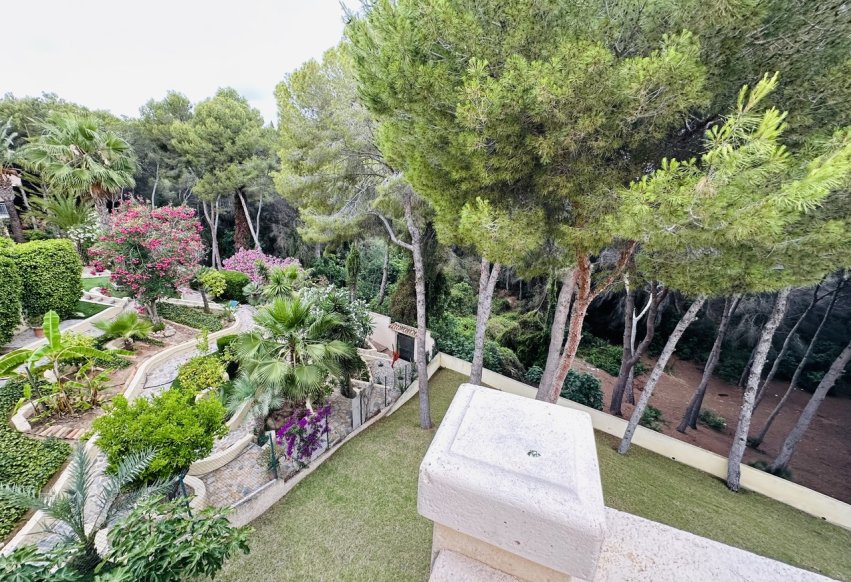 Nieuwbouw Woningen - Villa - Orihuela Costa - Dehesa de Campoamor