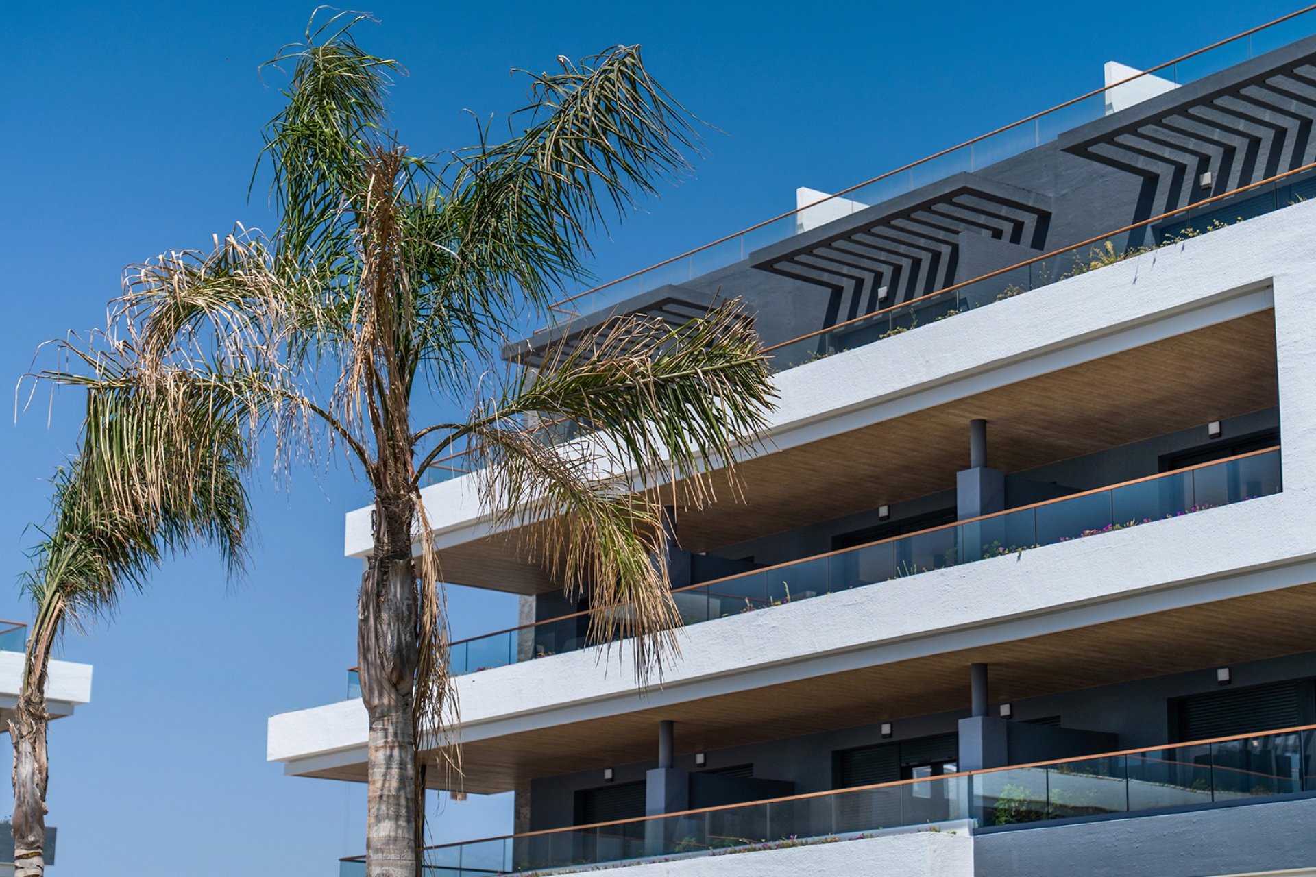 Nouvelle construction - Appartement - ﻿Torrevieja (Alicante) - Spain