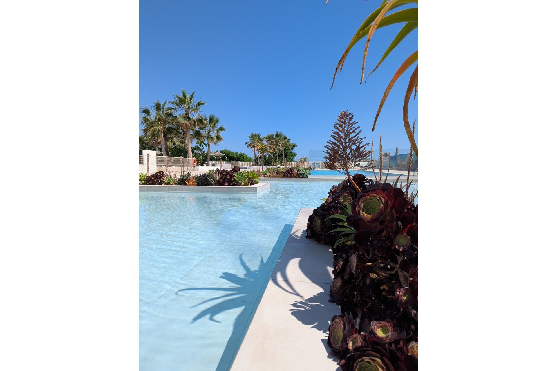Nouvelle construction - Attique - Denia - Dénia