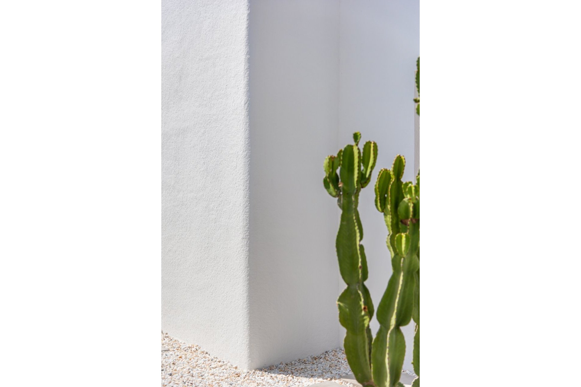 Nouvelle construction - detached - Los Alcázares