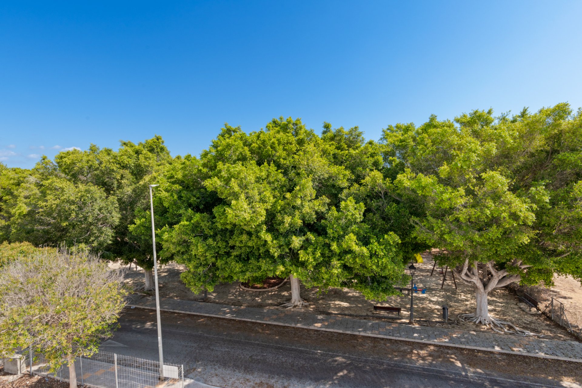 Nouvelle construction - detached - Pilar de la Horadada