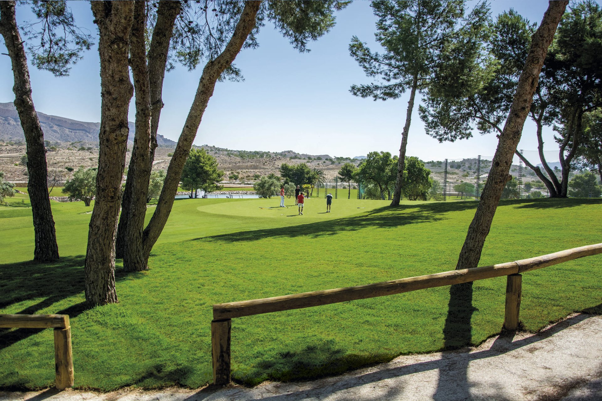 Nouvelle construction - ground-floor - Monforte del Cid