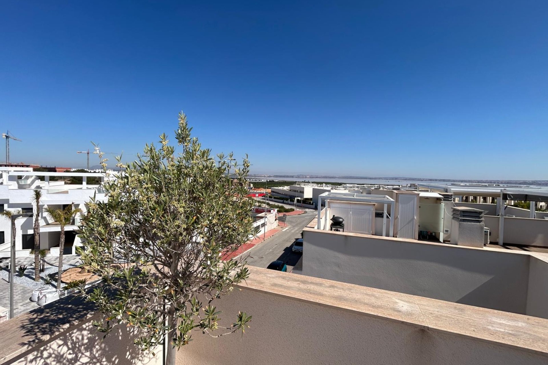 Nowy budynek - ground-floor - Torrevieja