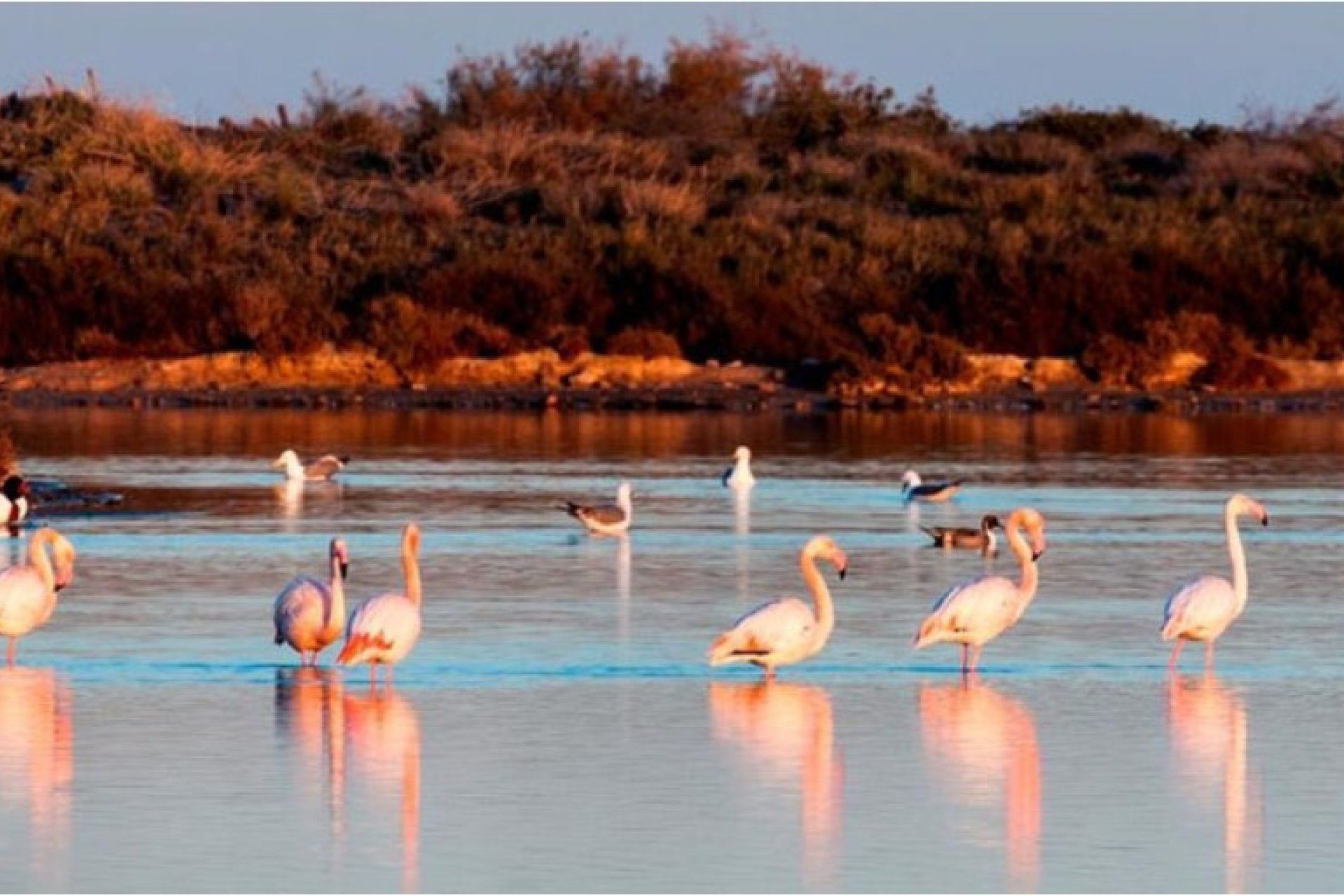 Nowy budynek - Kamienica - San Pedro del Pinatar