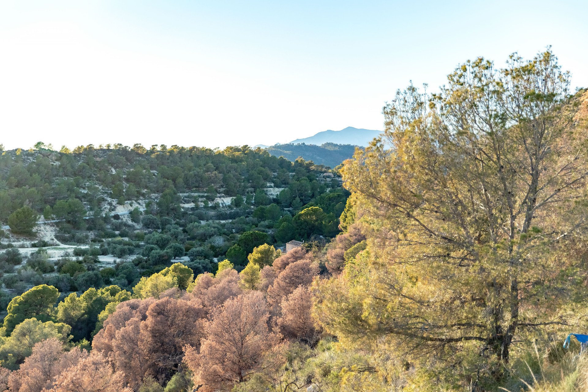 Nowy budynek - Mieszkanie w bloku - Finestrat