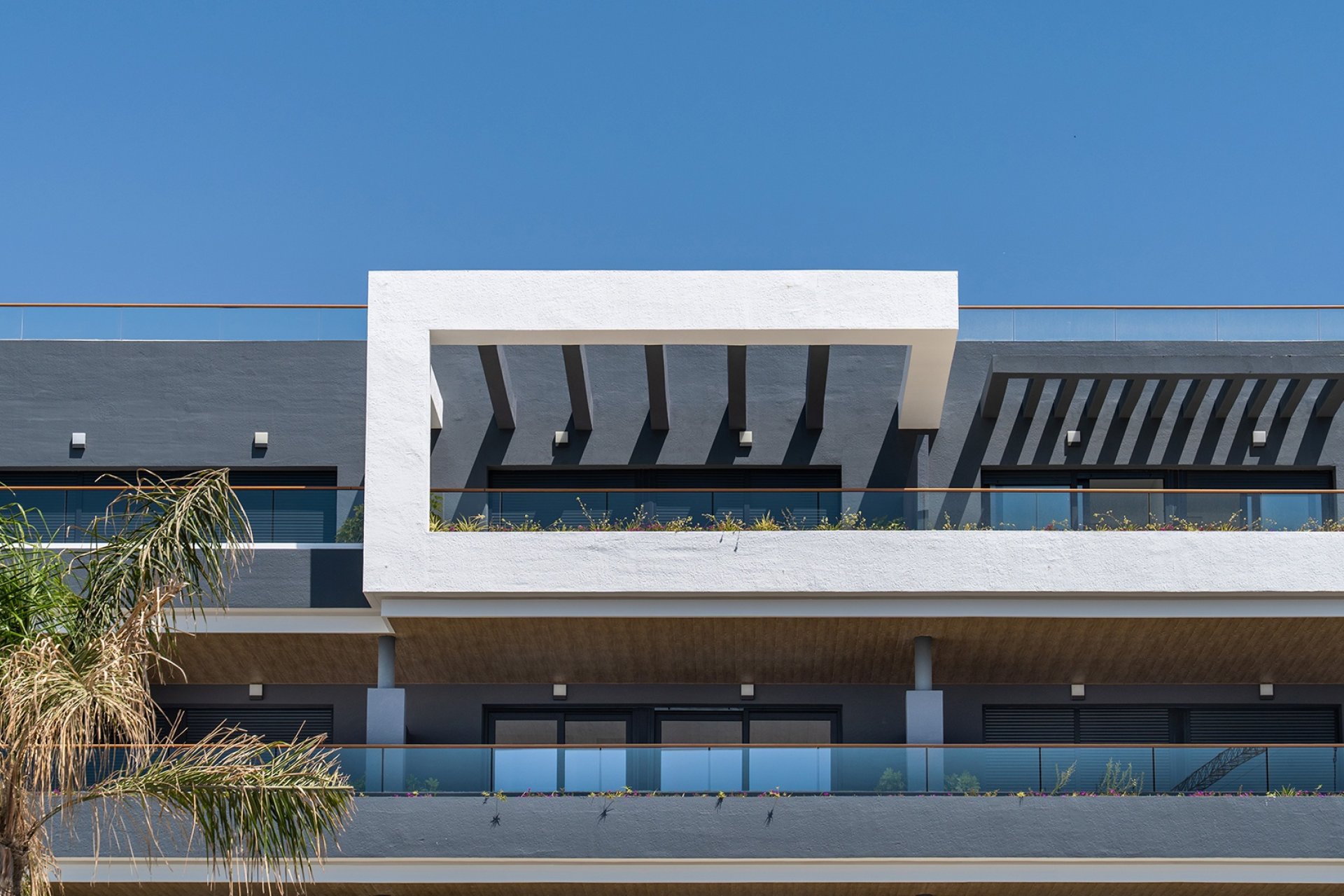 Nowy budynek - Mieszkanie w bloku - ﻿Torrevieja (Alicante) - Spain
